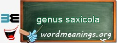 WordMeaning blackboard for genus saxicola